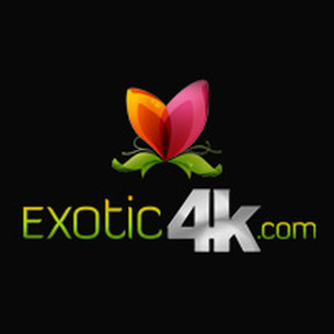 Exotic4k logo